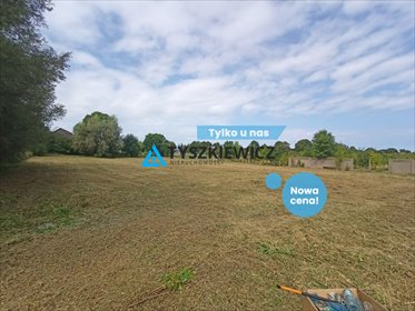 działka na sprzedaż 3102m2 działka Rusinowo