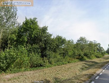 działka na sprzedaż 3142m2 działka Wola Boglewska