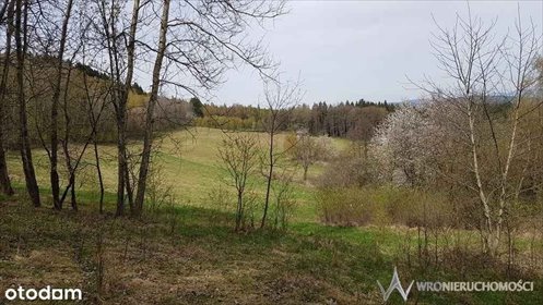 działka na sprzedaż 8622m2 działka Chocieszów