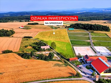 2,70 ha wyjątkowych możliwości. Myślinów k/Jawora działka Myślinów
