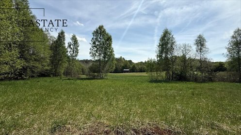 Działka 6883 m² w Kaszubach, las, prywatność, inwestycja działka Rąb, Trzy Rzeki, Jarzębinowa