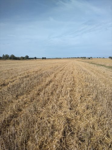 działka na sprzedaż 1000m2 działka Międzyzdroje, Rekowo