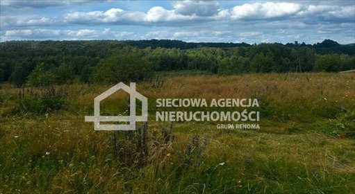 Działka 2899 m² z warunkami zabudowy - Trzepowo działka Trzepowo
