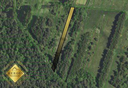 Działka gospodarstwo rolne na sprzedaż Skrzydlów 31 097m2 Foto 5