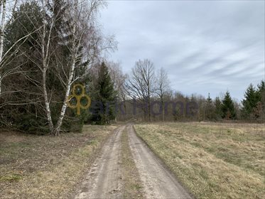Działka budowlana na sprzedaż Dębno 36 000m2 Foto 3