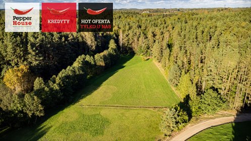 działka na sprzedaż 16822m2 działka Rąb, Spokojna