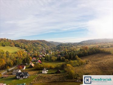 Na sprzedaż malowniczy dom z pełnym wyposażeniem i działalnością turystyczną dom Górzanka