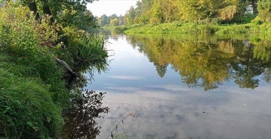 działka na sprzedaż 4960m2 działka Cieksyn