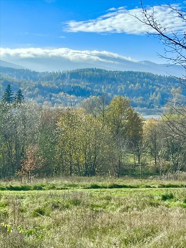 Polecam działkę 3000 m² z projektem pod zabudowę i widokiem na Karkonosze działka Sosnówka