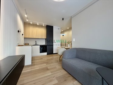 mieszkanie na sprzedaż 33m2 mieszkanie Aleksandrów Łódzki, Pabianicka