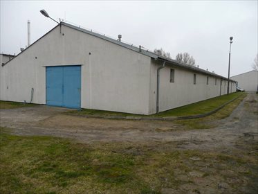 Magazyn na sprzedaż Czerniejewo, Szkolna 1 200m2 Foto 2