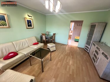 mieszkanie na wynajem 49m2 mieszkanie Łódź, Górna, Chojny, Białostocka