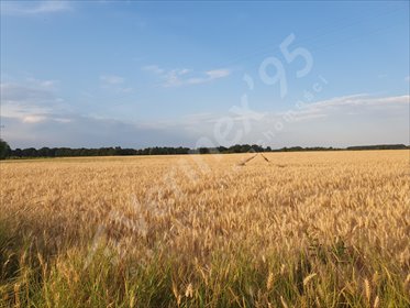 działka na sprzedaż 11700m2 działka Szczepanów