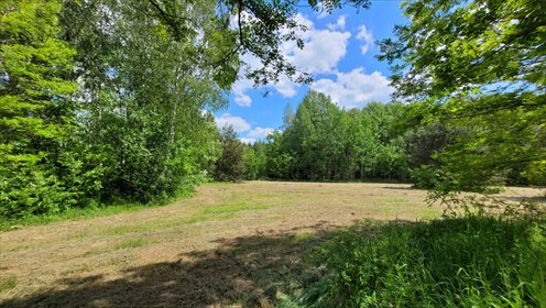 działka na sprzedaż 3002m2 działka Piotrkowice, Trzech Muszkieterów