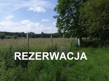 Sprzedam działkę inwestycyjną 8 473 m² w Przemoczu działka Przemocze