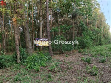 działka na sprzedaż 1736m2 działka Sękocin-Las