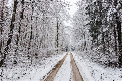 działka na sprzedaż 27500m2 działka Goniądz