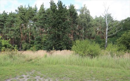 działka na sprzedaż 2143m2 działka Sosnowiec, Maczki, Kolonia Cieśle