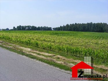 Działka inwestycyjna przy autostradzie A4 - 21 000 m² działka Brzeg