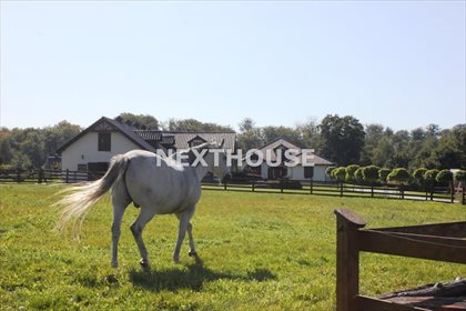 Działka inwestycyjna na sprzedaż Rachowice 131 550m2 Foto 7