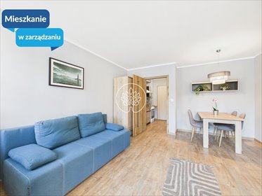 mieszkanie na wynajem 26m2 mieszkanie Bydgoszcz, Okole, Plac Chełmiński