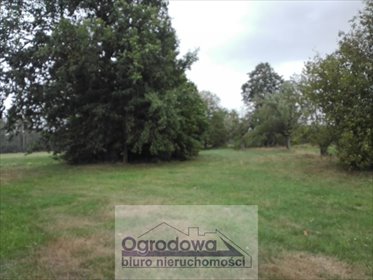 Zapraszam do zakupu działki 9000 m² w Magnuszewie działka Magnuszew