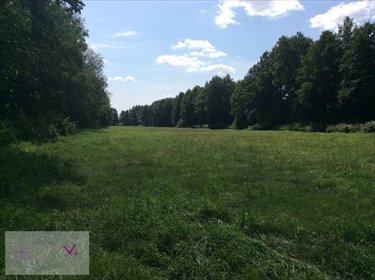 działka na sprzedaż 15382m2 działka Międzylesie