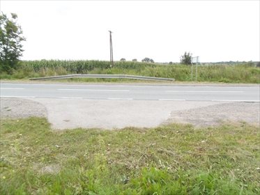 Działka budowlana na sprzedaż Komorowo Żuławskie, Komorowo Żuławskie 2 675m2 Foto 7