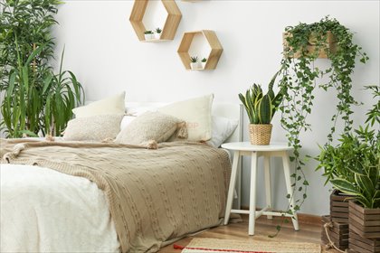 mieszkanie na sprzedaż 79m2 mieszkanie Wrocław, Ślężna