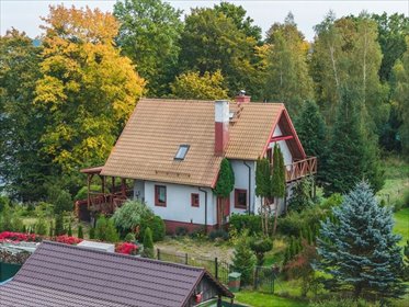 Urokliwy dom z prywatnym dostępem do jeziora. dom Drynki