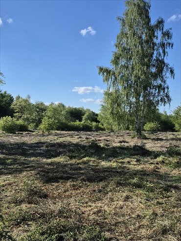 Polecam działkę 961 m² w Pyskowicach z dostępem do mediów działka Pyskowice, Wiejska
