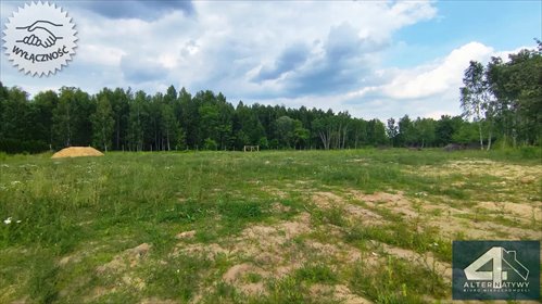 działka na sprzedaż 5619m2 działka Łódź, Billewiczówny