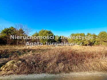 działka na sprzedaż 1500m2 działka Ostrowina