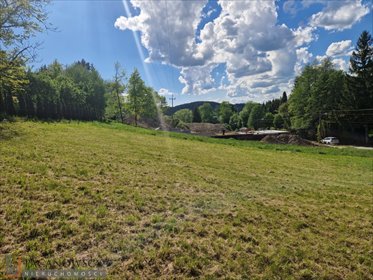 działka na sprzedaż 1000m2 działka Januszowice