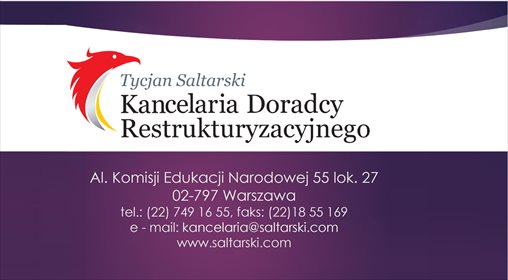 Działka inwestycyjna na sprzedaż Borków, Borków 10 800m2 Foto 2