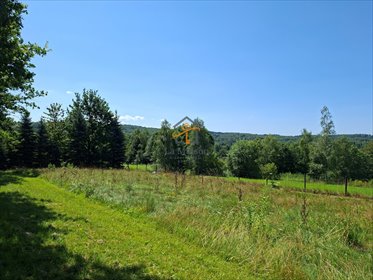 Działka 1,1 ha z lasem i klimatycznym domkiem w Chronowie działka Chronów