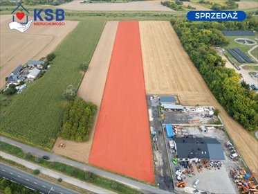 działka na sprzedaż 16600m2 działka Ostrowiec Świętokrzyski, Aleja 25-lecia Wolności