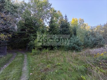 Zapraszam do zakupu działki 1245 m² w Ojrzanowie z MPZP działka Ojrzanów