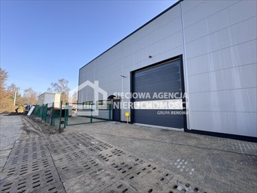 lokal użytkowy na wynajem 200m2 lokal użytkowy Dębogórze