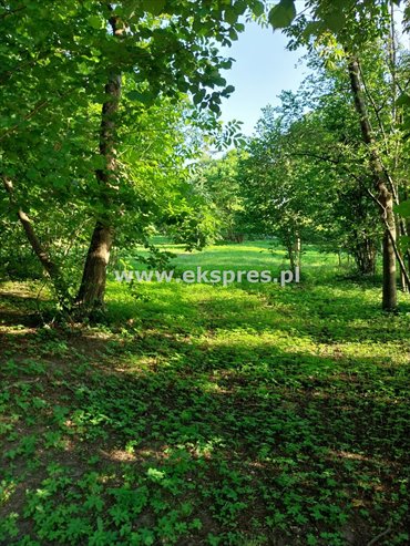 działka na sprzedaż 2000m2 działka Łagiewniki Nowe