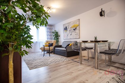 mieszkanie na wynajem 46m2 mieszkanie Kielce
