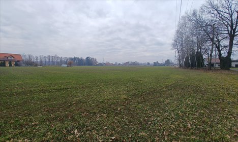 Działka budowlana na sprzedaż Ochaby Wielkie 15 747m2 Foto 4