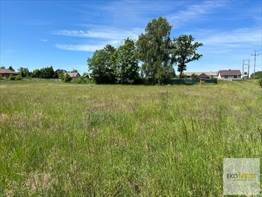 działka na sprzedaż 2200m2 działka Świercze, Świercze