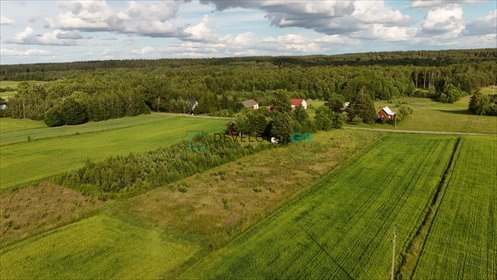 Działka rolna 3000 m² z warunkami zabudowy Dubowo działka Dubowo