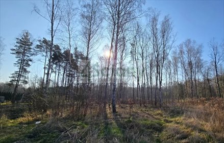 Działka 1502 m² z prądem i światłowodem - zapraszam działka Mościska