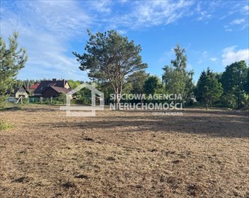 działka na sprzedaż 3000m2 działka Kopalino