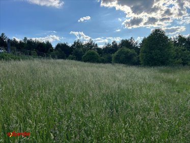 Zapraszam do zakupu działki 900 m² w spokojnej okolicy Mirów działka Częstochowa, Mirów, Mstowska