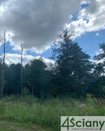 Działka budowlana na sprzedaż Milanówek 9 150m2 Foto 2
