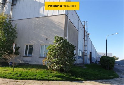 lokal użytkowy na wynajem 5300m2 lokal użytkowy Szczekociny, Lelowska