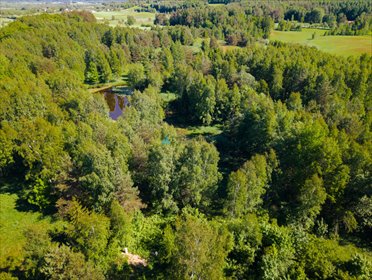 działka na sprzedaż 1764m2 działka Rybaki, Lipowa